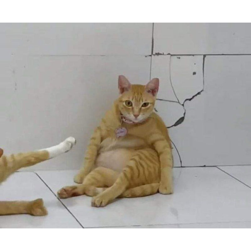 Custom Minifigure: Dragon Ball Character Arm Accessories